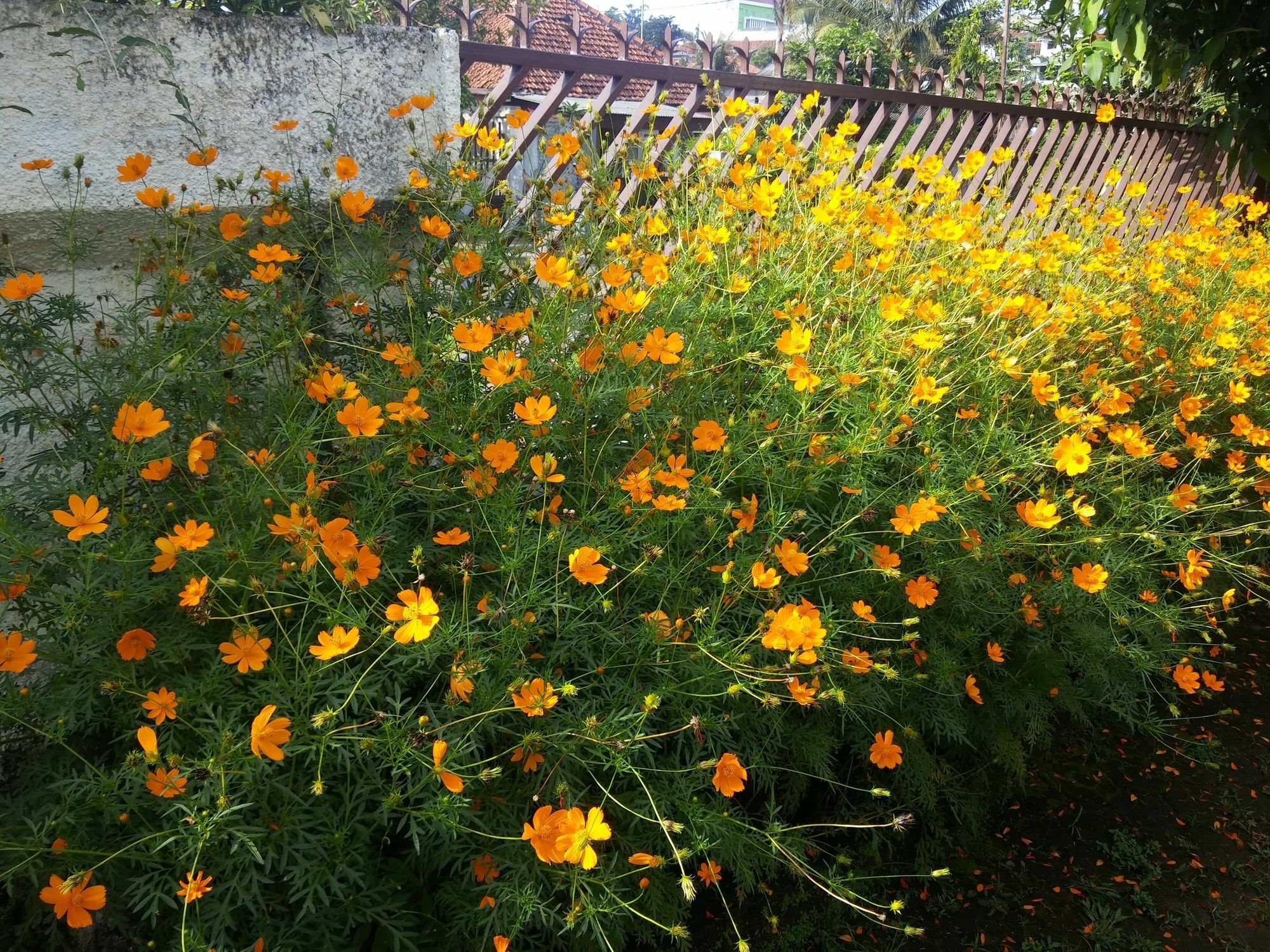 Gio Guesthouse Bogor Exterior photo